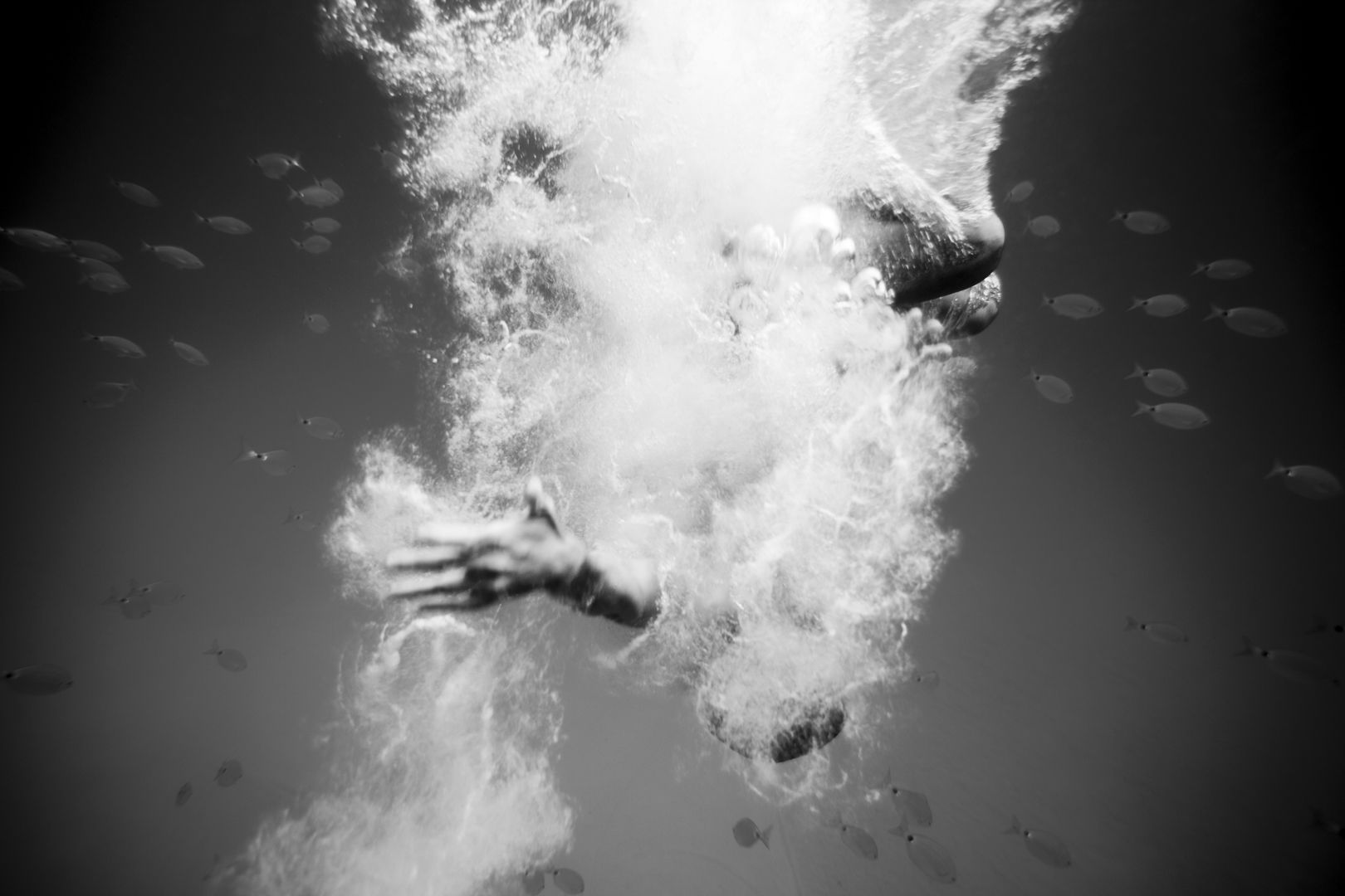 © Tomàs Moyà / Photographer