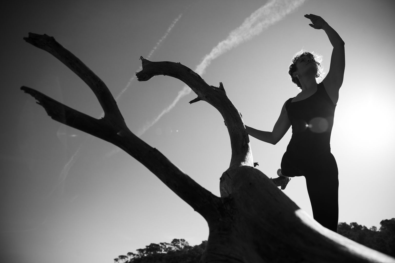 © Tomàs Moyà / Photographer