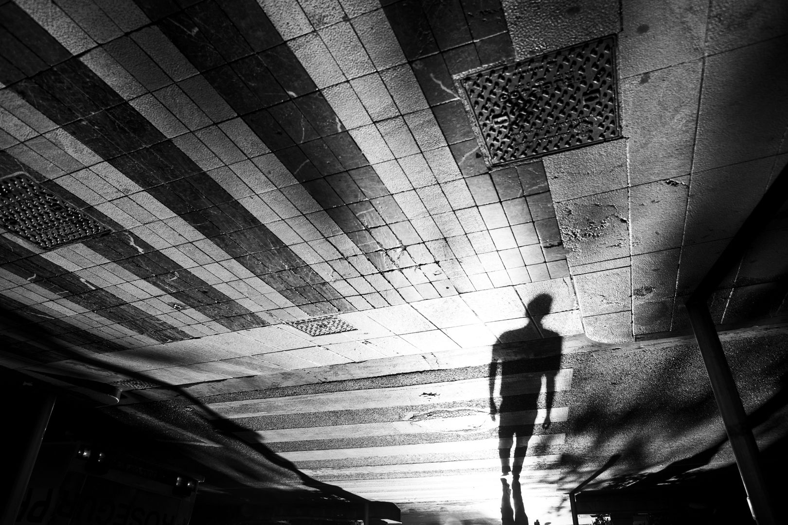 © Tomàs Moyà / Photographer