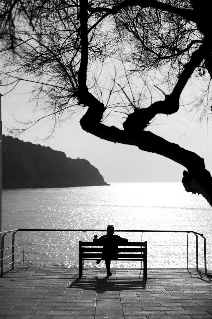 © Tomàs Moyà / Photographer